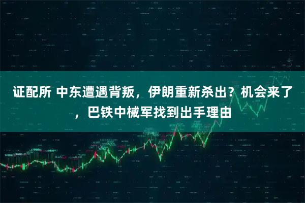 证配所 中东遭遇背叛，伊朗重新杀出？机会来了，巴铁中械军找到出手理由