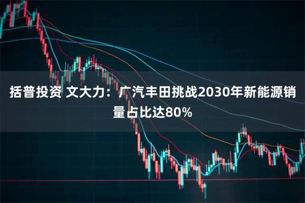 括普投资 文大力：广汽丰田挑战2030年新能源销量占比达80%