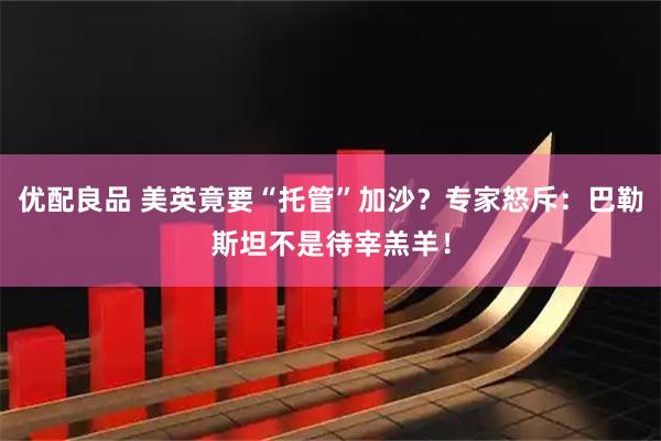 优配良品 美英竟要“托管”加沙？专家怒斥：巴勒斯坦不是待宰羔羊！
