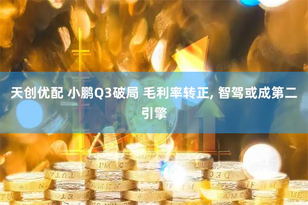 天创优配 小鹏Q3破局 毛利率转正, 智驾或成第二引擎
